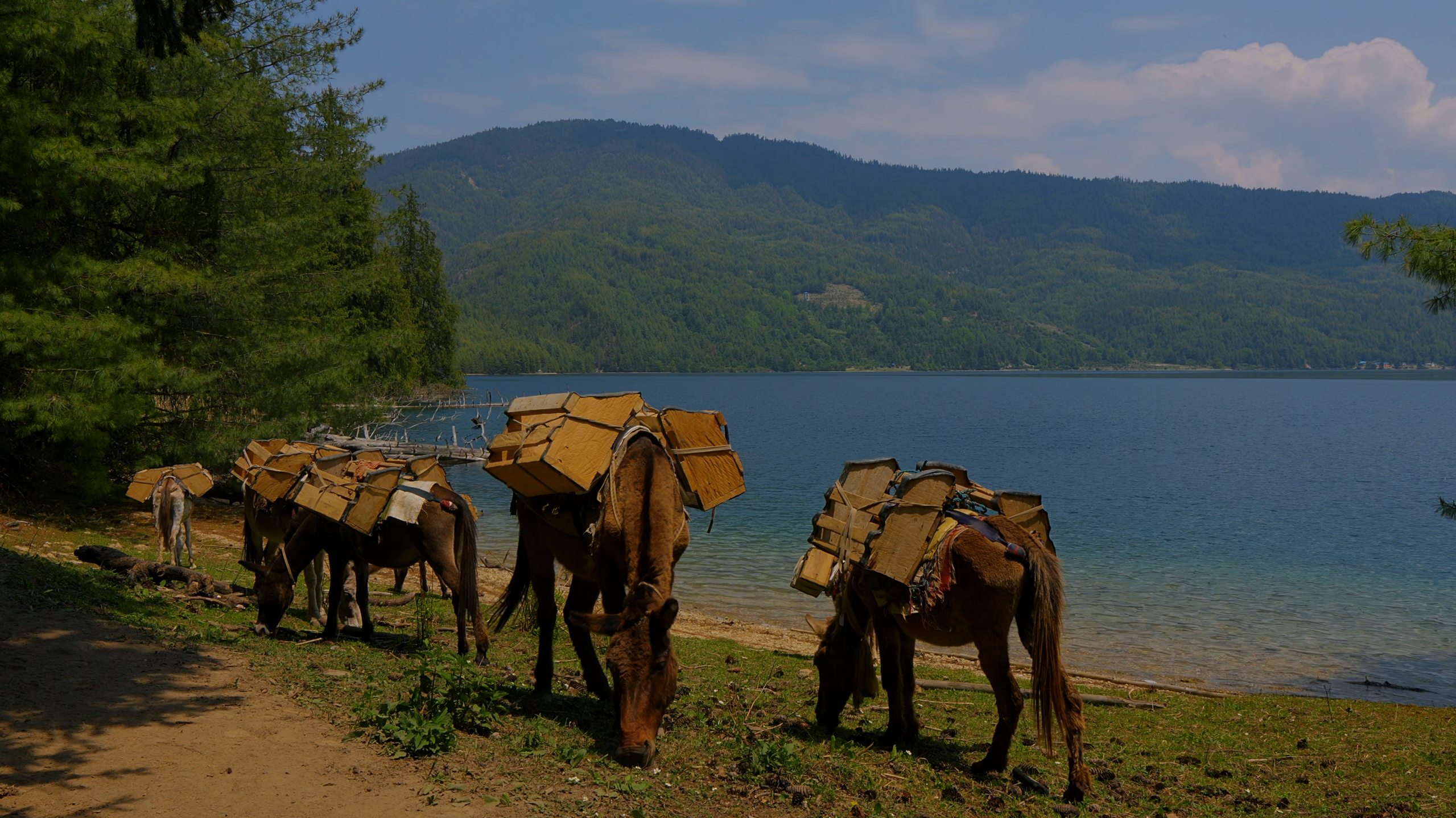Rara Lake